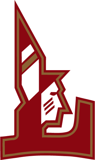 Louisiana-Monroe Warhawks 2000-2005 Alternate Logo DIY iron on transfer (heat transfer)